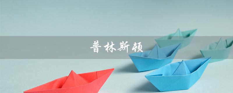 普林斯顿（普林斯顿大学研究生申请要求是什么）