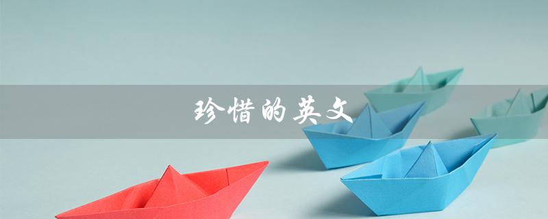 珍惜的英文（如何用英文表达珍惜）