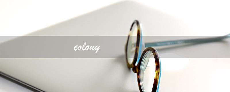 colony（colony是什么）