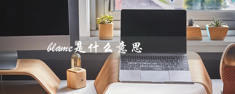 blame是什么意思（blame for的意思是什么）