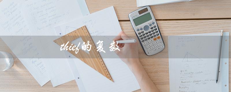 thief的复数（小偷的复数是什么）