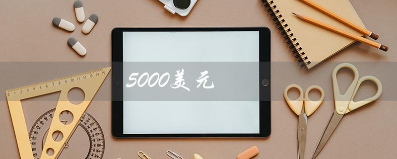 5000美元（5000美元兑换人民币多少）