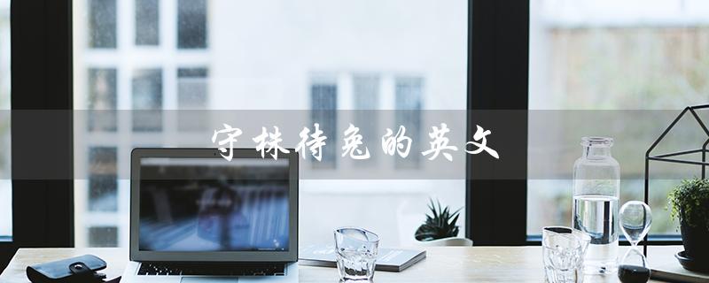 守株待兔的英文（守株待兔的故事是什么）