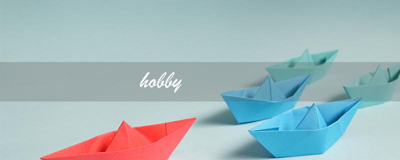 hobby（hobby的意思是什么）