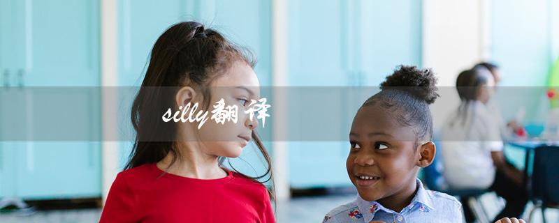 silly翻译（什么是silly在中文的翻译）