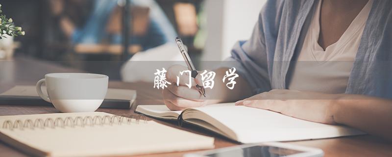 藤门留学（藤门留学官网是什么）