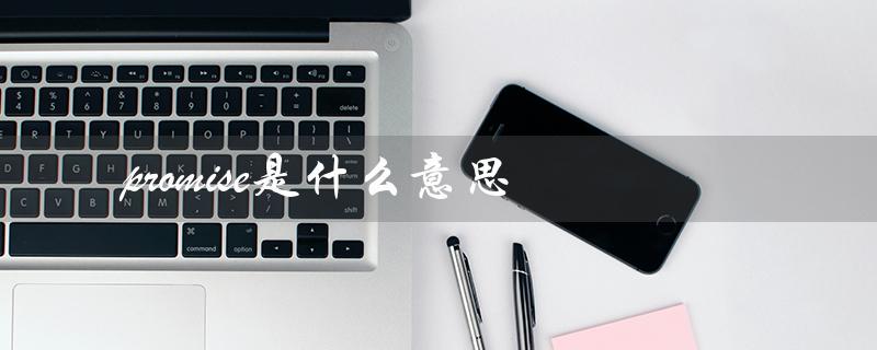 promise是什么意思（promised是什么）