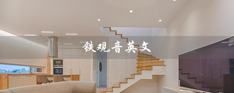 铁观音英文（铁观音的英文是什么）