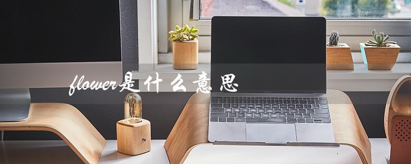 flower是什么意思（flower的中文意思和读音是什么）