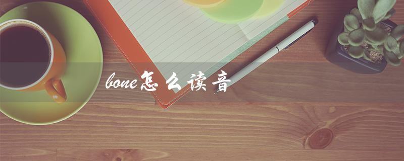 bone怎么读音（bone的发音是什么英语怎么说）