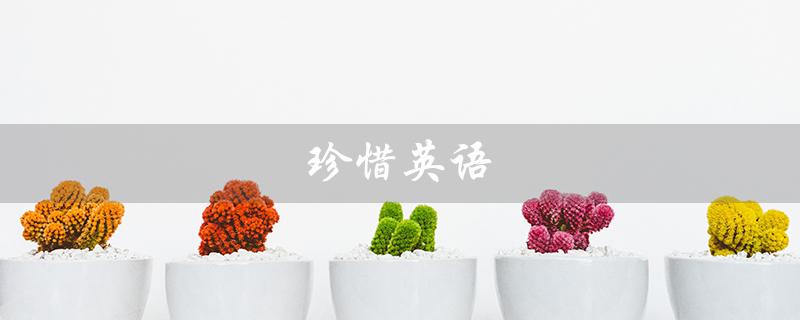 珍惜英语（怎样珍惜英语）