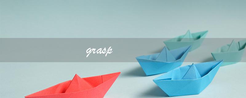 grasp（grasp的意思是什么）