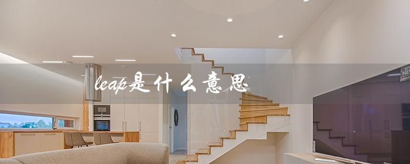 leap是什么意思（leap的含义是什么）