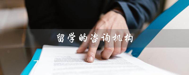 留学的咨询机构（留学咨询机构是什么）