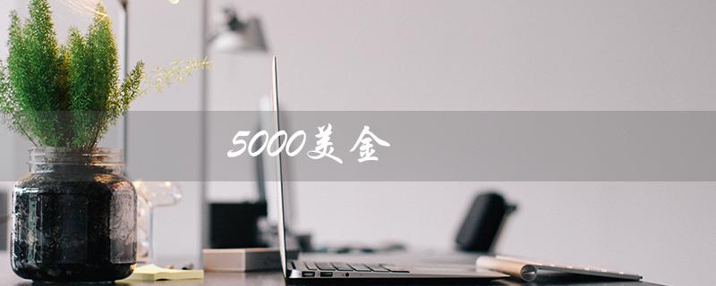 5000美金（5000美金兑换港币汇率是多少）