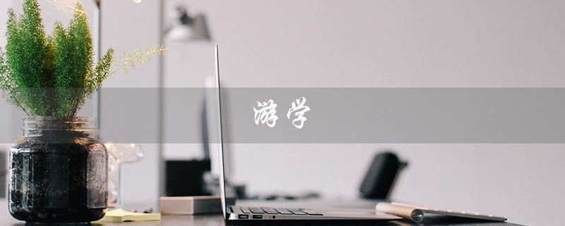 游学（什么是游学夏令营）