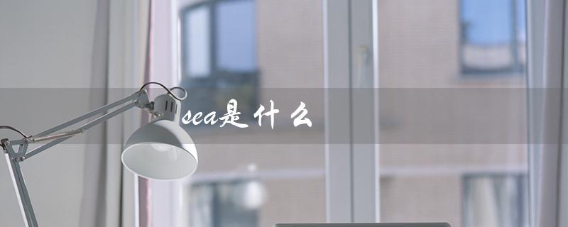 sea是什么（sea的英文是什么）