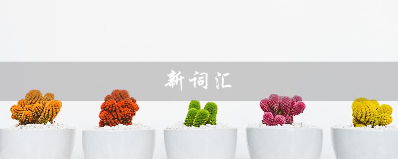 新词汇（云技术属于哪些新词汇）