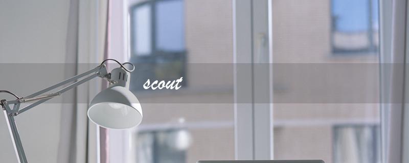 scout（Scout直播在哪）