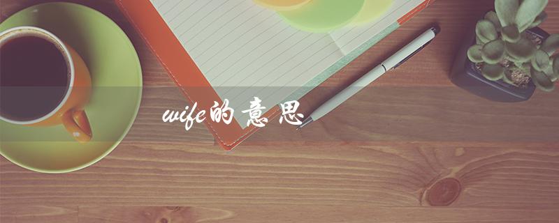 wife的意思（housewife是什么意思）