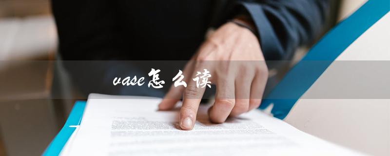 vase怎么读（vase的英语发音是什么）