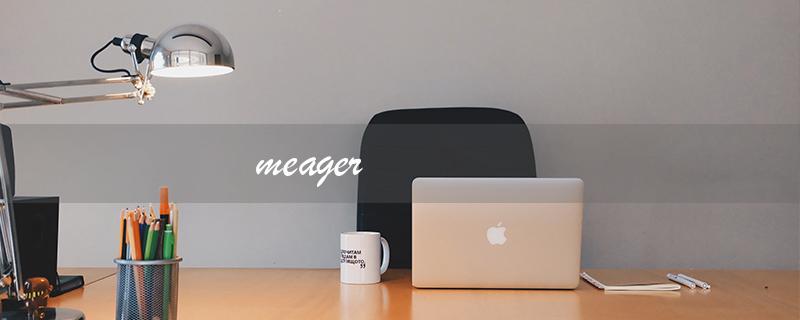 meager（meager的中文意思是什么）