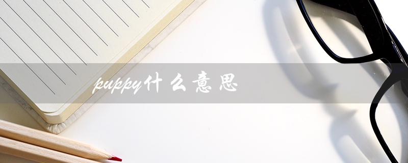 puppy什么意思（puppy是什么网络用语）