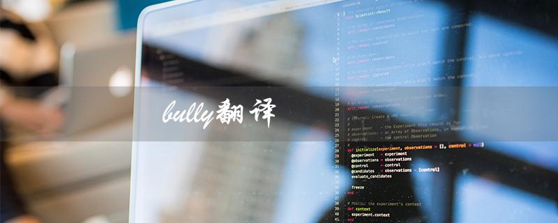 bully翻译（如何排除某些内容）