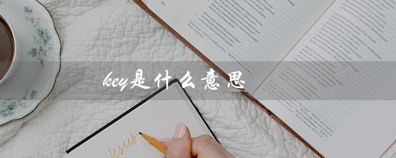 key是什么意思（车上的key是什么）