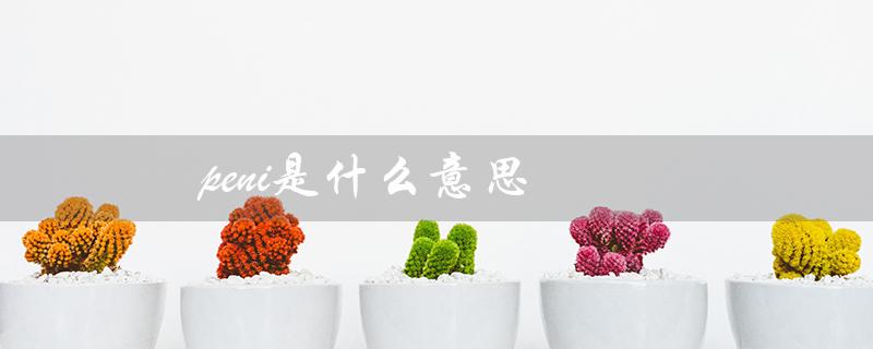 peni是什么意思（Penis的中文翻译是什么）