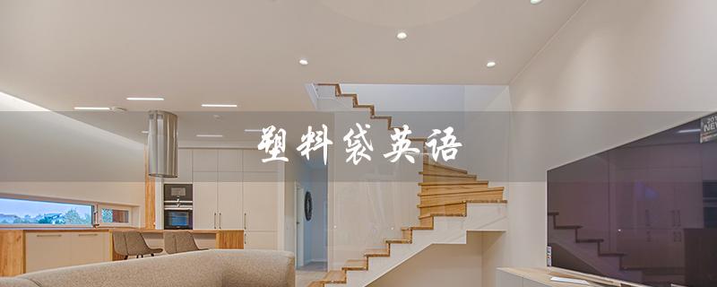 塑料袋英语（塑料袋英语怎么读）