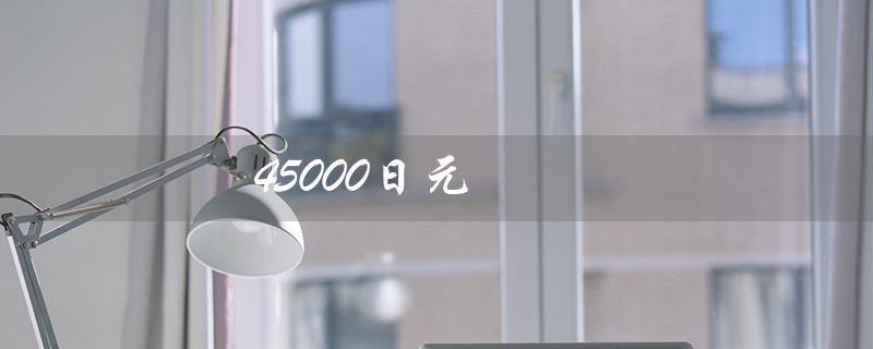 45000日元（45000日元兑换美元汇率）