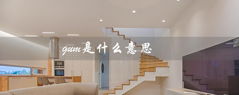 gum是什么意思（什么是gumcare）