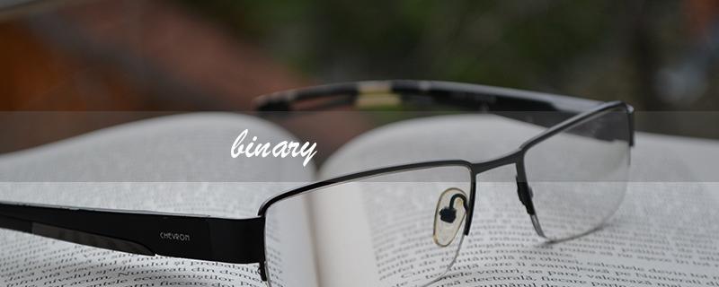 binary（什么是binary）