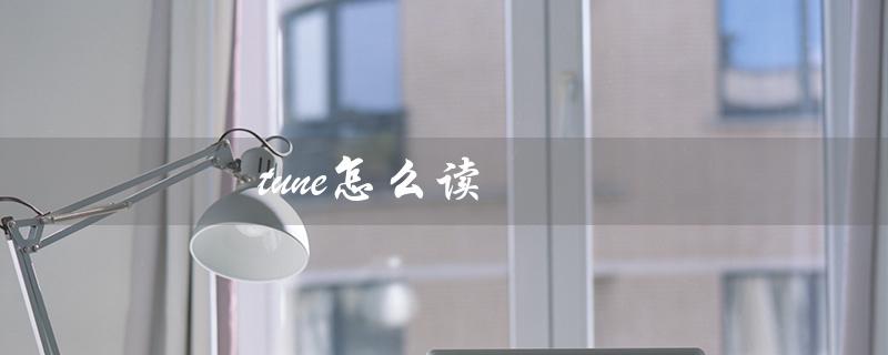 tune怎么读（英语中tune应该怎么读）