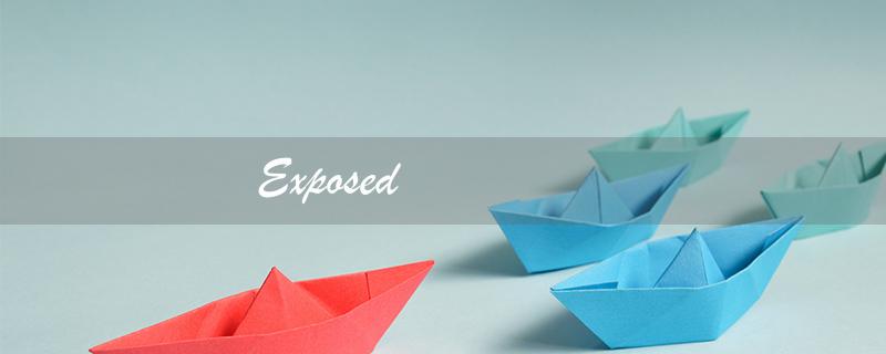 Exposed（暴露了什么）