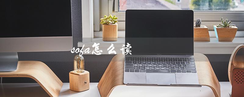 sofa怎么读（sofa的读音标是什么）