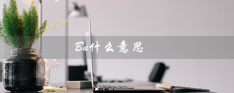 Bu什么意思（补什么）