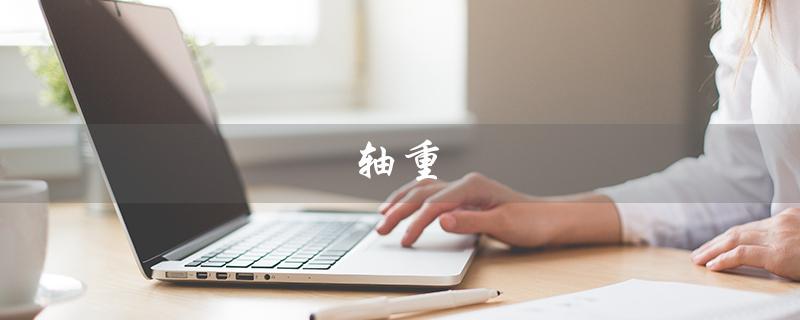 轴重（什么是轴重秤）