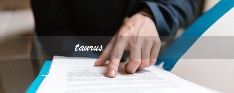 taurus（Taurus的含义是什么）