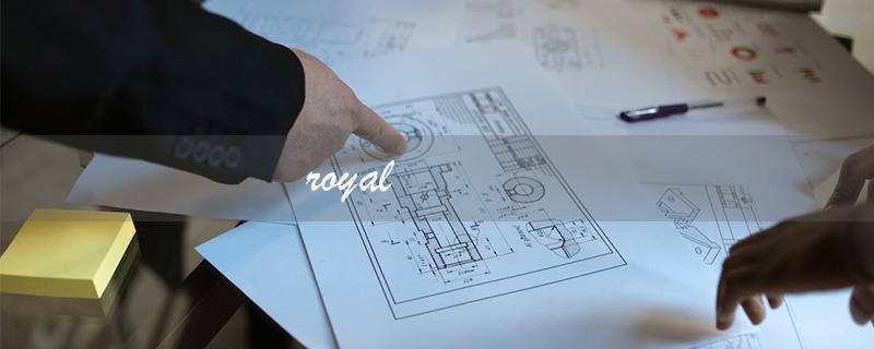 royal（royal的含义是什么）