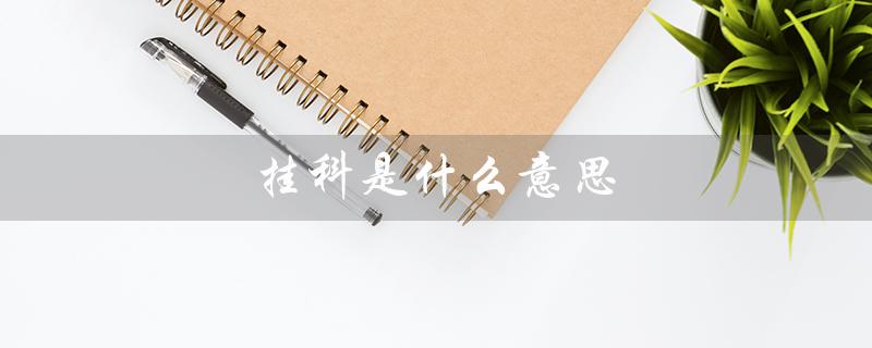 挂科是什么意思（大学挂科是什么）